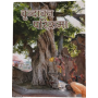 VRINDABAN PARIKRAMA