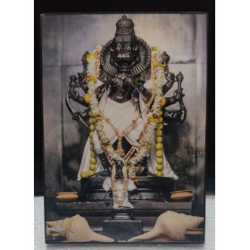 Sri Narasimha Dev 5*7 INCH LAMINATION Sri Narasimha Dev 5*7 INCH LAMINATION