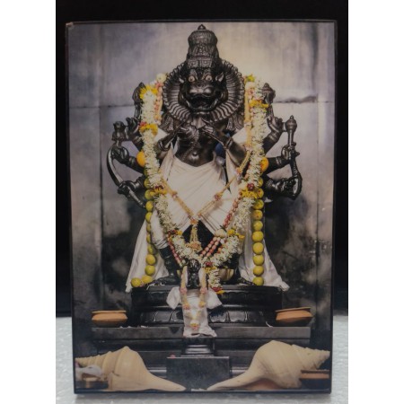 Sri Narasimha Dev 5*7 INCH LAMINATION