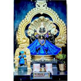 SRI NARASIMHA DEV BLUE 12/18 INCH LAMINATION