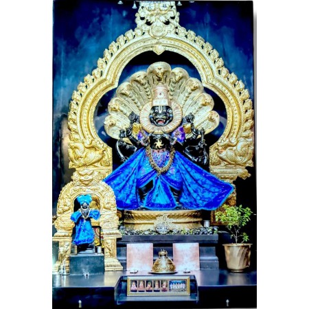 SRI NARASIMHA DEV BLUE 12/18 INCH LAMINATION