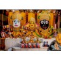 Rajapur Jagannath 12/18 Inch Lamination