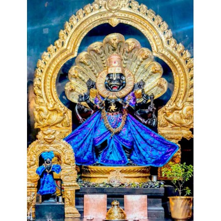 SRI NARASIMHA DEV BLUE DRESS 16*20 INCH LAMINATION