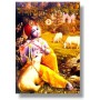 SANATAN DHARMA SHIKSHA -- PART 1