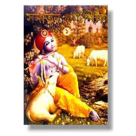 {category_name} | Original ISKCON Products from {shop_name}