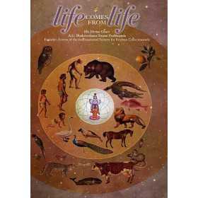 {category_name} | Original ISKCON Products from {shop_name}