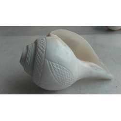 CONCH
