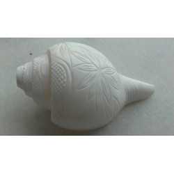 CONCH