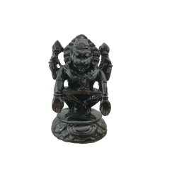 MURTI BLACK LORD NARASIMHADEV