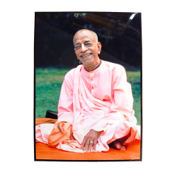 Prabhupad Laminated Photo Frame (8/11-inch)