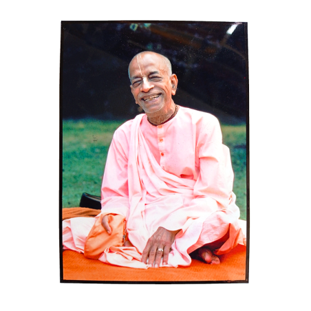 Prabhupad Laminated Photo Frame (8/11-inch)